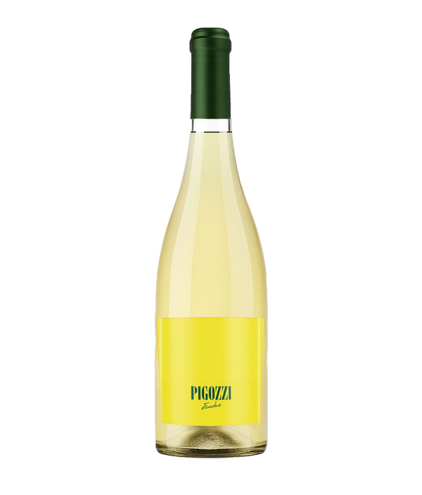 Bianco Frizzante 2024